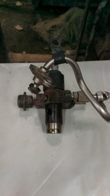 IMAG1351.jpg