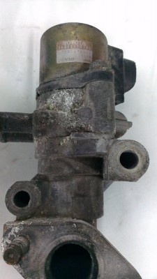 IMAG1355.jpg