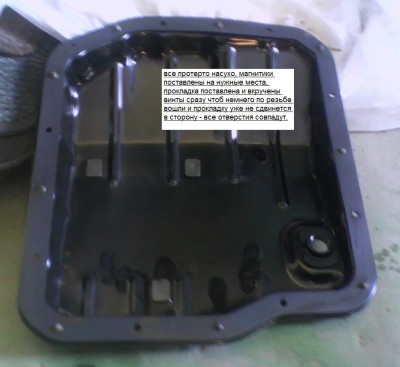 IMG0488A.jpg
