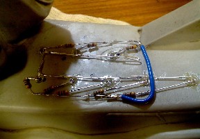 V6040.jpg