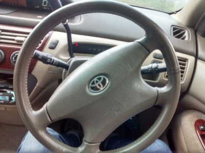 image.jpeg