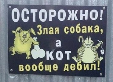 котопёс.jpg