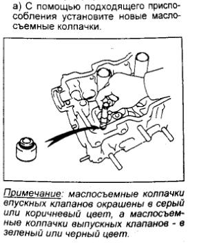 колп.JPG
