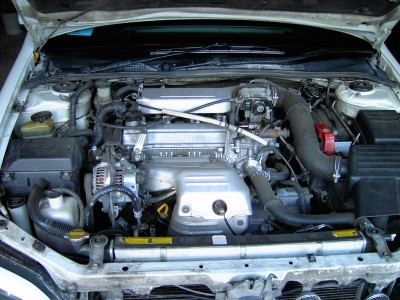PICT7236.JPG