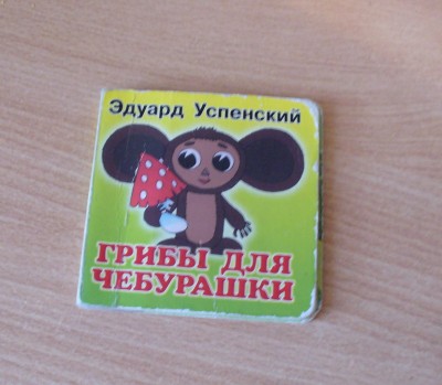 P1070775.jpg