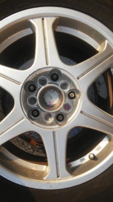 IMG_6617-24-02-19-10-08.JPG
