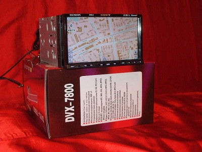 8302448.jpg