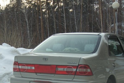 P1020302m.JPG