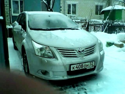 авек.jpg