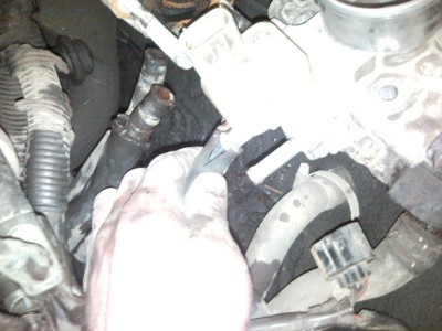 SNC00030.jpg