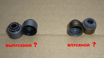 P1000856.JPG