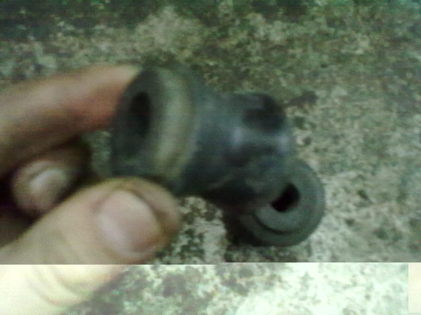 01032011202.jpg