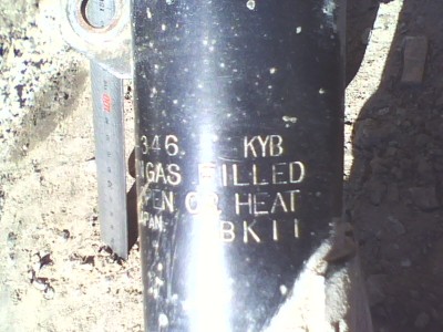 IMG0569A.jpg