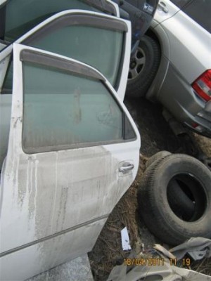 Двери 001.jpg