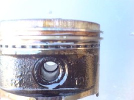 DSC01444.JPG