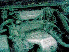 02102008.jpg