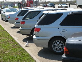IMG_1776.JPG