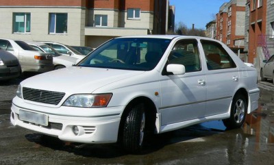 9953508.jpg