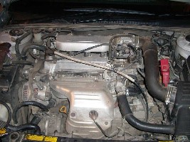 clearkol_3.jpg