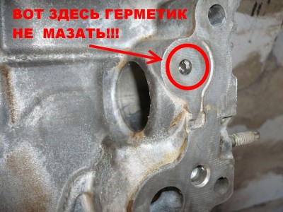 P1010157.JPG