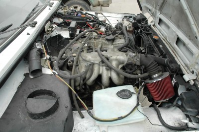 11b.jpg