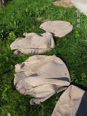 PICT0062.JPG