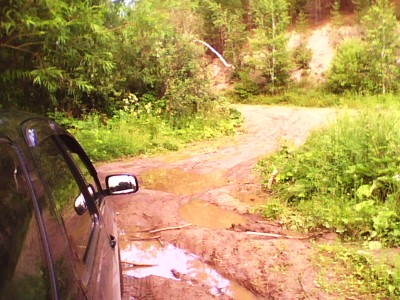 IMG0731A.jpg