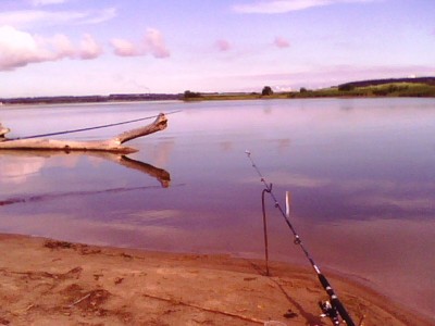 IMG0722A.jpg