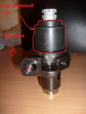 S6304659.JPG