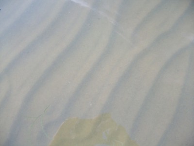 100_2998.jpg